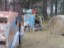 Los Sicarios Paintball