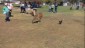 Paella solidaria en la Reserva de Fauna